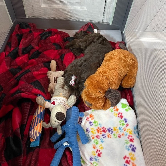 Meet your Posher, Jacksyn - Picture 16 of 16